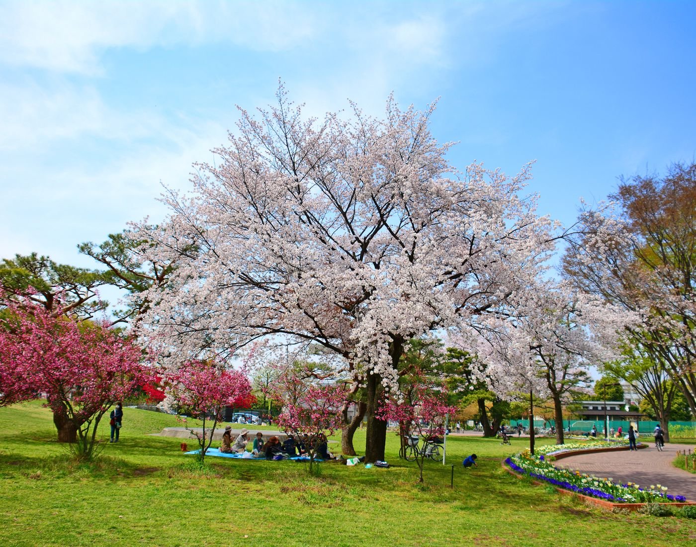 🌳 무사시노 중앙공원 (무사시노 추오 코엔) 이미지 1